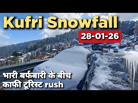 Heavy snowfall in Kufri Kufri after Heavy Snowfall | Kufri snowfall today #kufrisnowfall #shimla