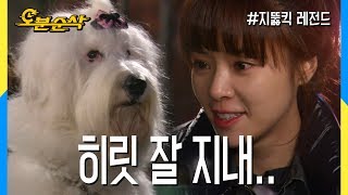 (눈물샘주의ㅠㅠ) 자신있게! 당당하게! 히릿답게! 히릿♡정음 행복하게 해주세요.. | 지뚫킥오분순삭 video