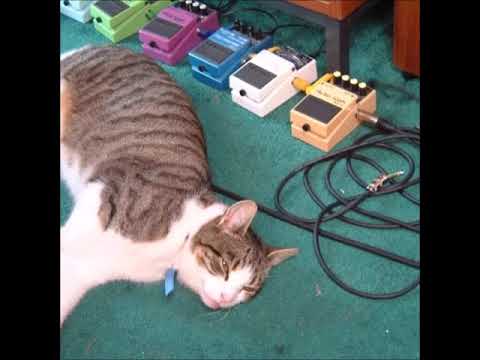 [free] joyce manor x tigers jaw x emo type instrumental - “memory loss”