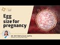Egg Size For Pregnancy प्रेग्नेंट होने के लिए कितने 