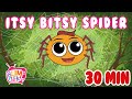 Itsy Bitsy Spider Lyrics Song 30 Min Songs Best Nursery Rhymes Songs Bumcheek TV