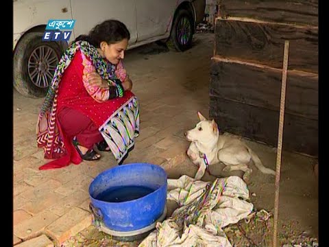 ৩০০ অসুস্থ কুকুরকে সেবা ও আশ্রয় দিয়েছেন টিয়া চৌধুরী