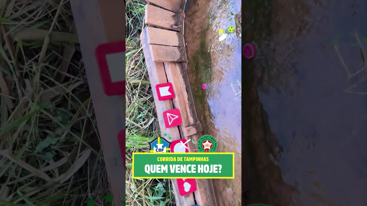 Imagem da notícia Brasil x Marrocos: Corrida de Tampinhas tenta adivinhar o resultado da estreia na Copa do Mundo
