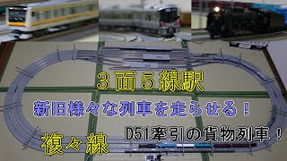 複々線のレイアウトに新旧様々な車両を走らせる！【鉄道模型 / Nゲージ】【225系 E233系 D51等】