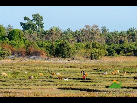 Suma demone Dakar. Ekonting played by Leo Manga !