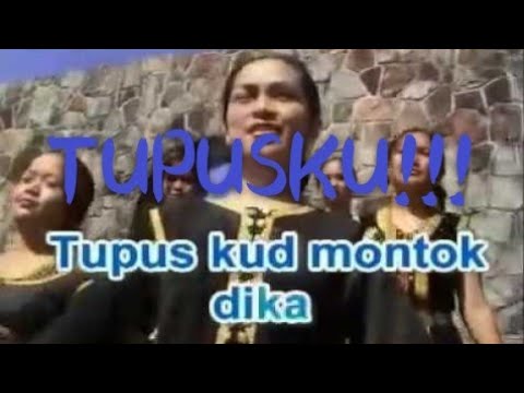 Hain Jasli -  Tupus ku