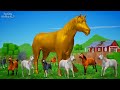 Magical Diamond Quest Jungle Horses Help The Giant Golden Horse