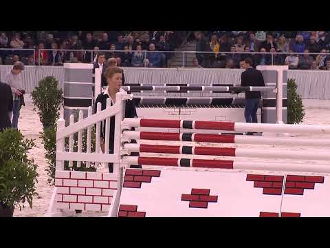 Action Blue-Hengstvorführung Verden 2019