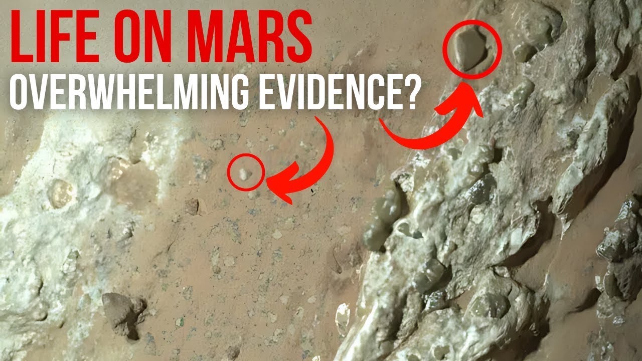 Perseverance Finds Hints of Life On Mars! This Rock Shocked NASA