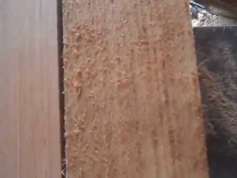 download lagu mp3 mp4 Cedro Rosa, download lagu Cedro Rosa gratis, unduh video klip Cedro Rosa