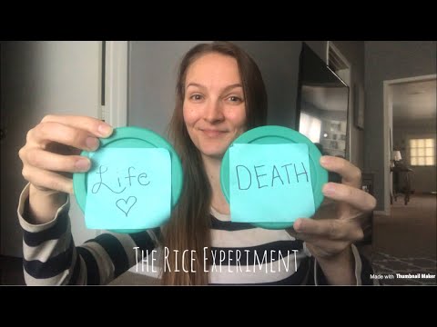 The Rice Experiment: The Power of Words