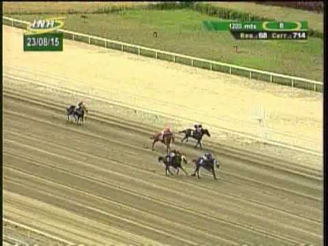 Resumen Domingo, 23 de Agosto de 2015 - La Rinconada