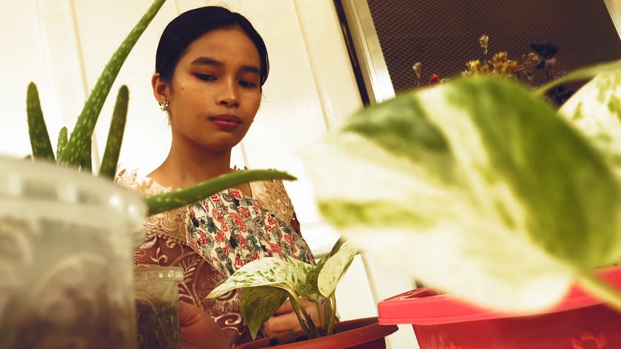 Monologo ni Paulita Gomez