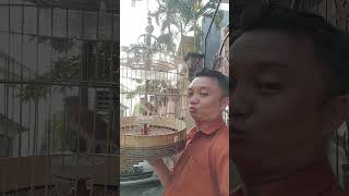 Download lagu 3 Oktober 2023 mp3