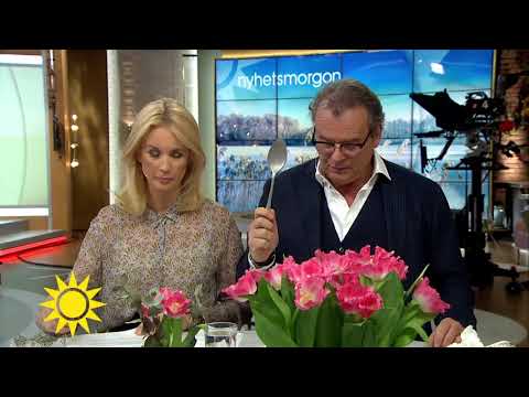 Pileby - Nyhetsmorgon (TV4)