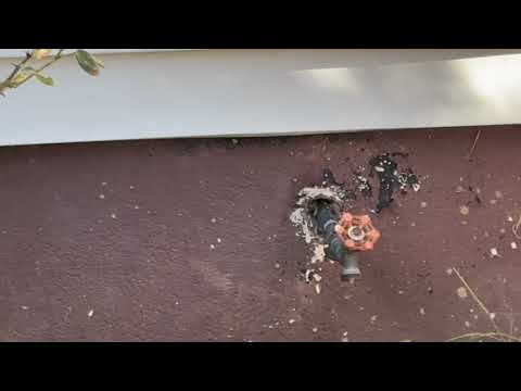 Yellow Jackets Surround Spigot in Flagtown, NJ