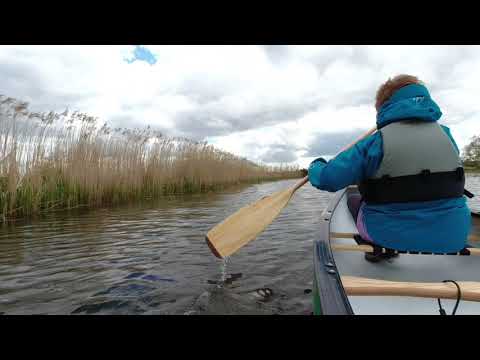 Canoeing the River Stour at Cattawade