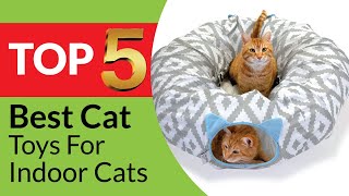 Top 5 Best Cat Toys for Indoor Cats in 2026 [Buying Guide]