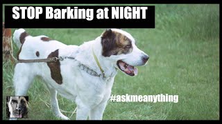 Stop My Dog from BARKING at Night - Dog Training Video - ask me anything