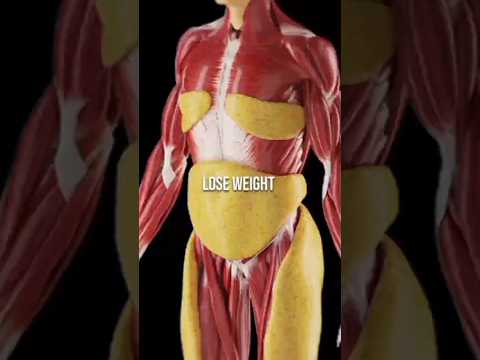 5 Foods That Fix Your Body From the Inside Out