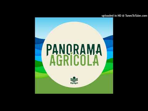 9 de outubro - Jovens pesquisadores do Cedup Campo Erê são premiados na Fecitec/SC2025