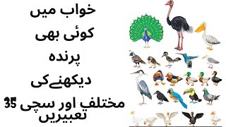 Dream interpretation of different birds| khawab ma parinda dakhna| pigeon,Eagle,crow,Swan etc