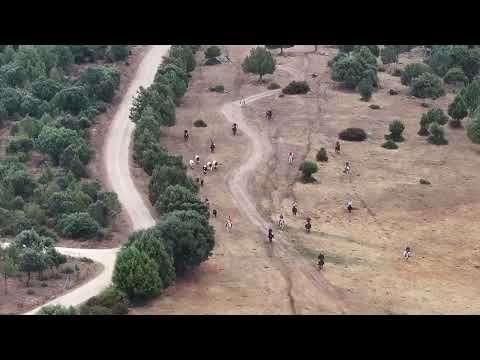 Encierro campero de la Villa de Pedraza (Segovia)