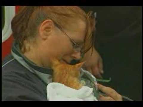Cat saved from fire, gets oxygen.