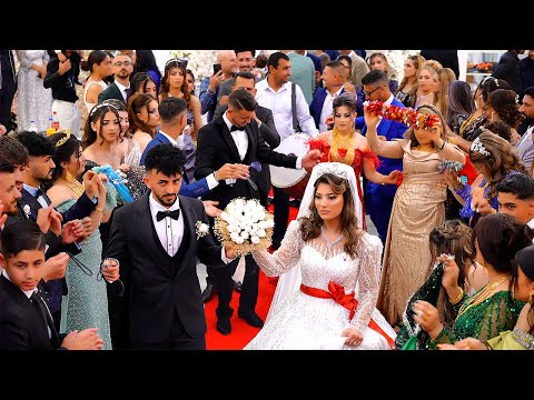 Walid & Sabiha Part 1 Hussein Shaqooli -by Walat Video