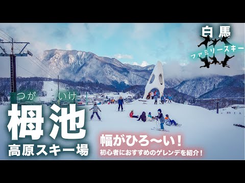 Video: 【白馬栂池高原スキー場】初心者やファミリーにおすすめのゲレンデ！幅がひろ〜い、ゆるやかな傾斜！