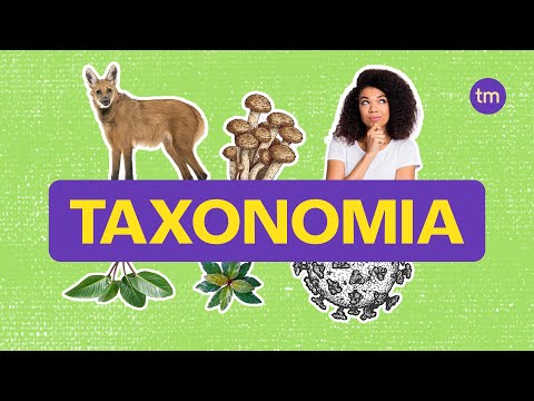 Taxonomia | Como classificar os seres vivos