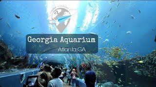 Georgia Aquarium
