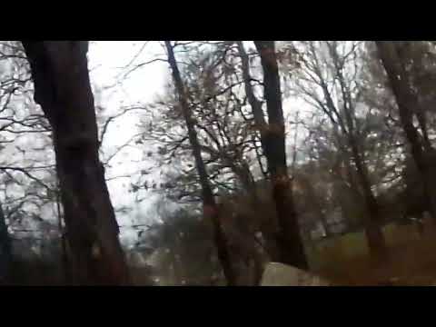 ss195 5.7 winner devastates 🍍 MUST WATCH