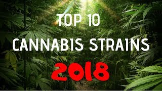 Top 10 Cannabis Strains 2018