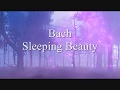 Bach - Sleeping Beauty
