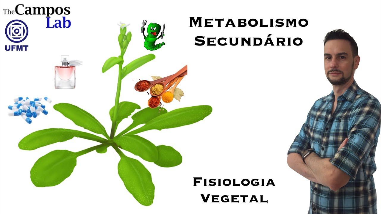 Metabolismo Secundário (1/4): Introdução