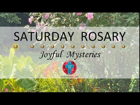 Saturday Rosary • Joyful Mysteries of the Rosary 💙 August 5, 2023 VIRTUAL ROSARY - MEDITATION
