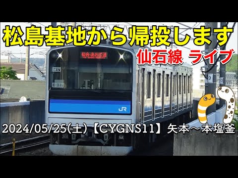 2024年 鶴岡天神祭・鶴岡公園 ブルーインパルス YouTubeライブ配信アーカイブのサムネイル
