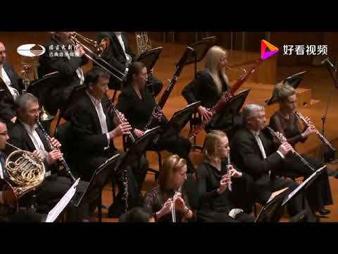 醉人心脾的《蓝色多瑙河圆舞曲》，著名交响乐团演奏，视听盛宴！