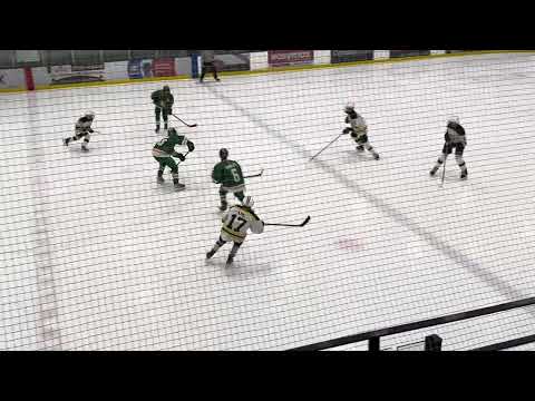 1st - U15 AA CNHA Green vs U15 AA Bruins March 8, 2025 P1