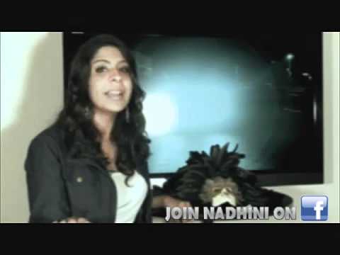 SilverStormEnt - Nadhini Shout Out