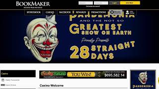 A beginners guide to bookmaker.eu