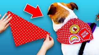 3 DIY Crafts Your Dog Will Love