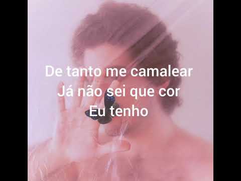 Pedro Salomão e o teatro mágico - letra da musica camalear