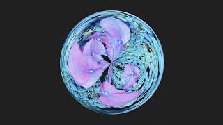 Gold Fields - Cocoon [Official Audio]