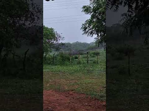 🇧🇷 DOM EXPEDITO LOPES, PIAUÍ 27/01/2026 #sitio #fazenda #vidanaroça #vidanaroça #cavalo #agro