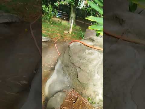 Caldas Novas/Go #caldasnovasgoias #caldasnovas #simplicidade #lar #docelar #roça #natureza #viajar