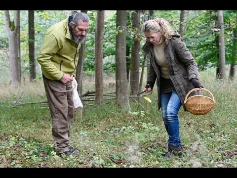 Der Fall Maria Baumer - Aktenzeichen XY gelöst (09.02.2022)