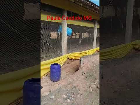 Paula Cândido MG e o palco,bora, agro não pode parar #MG#palco #agro