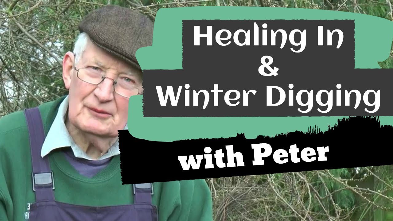 Healing In and Winter Digging